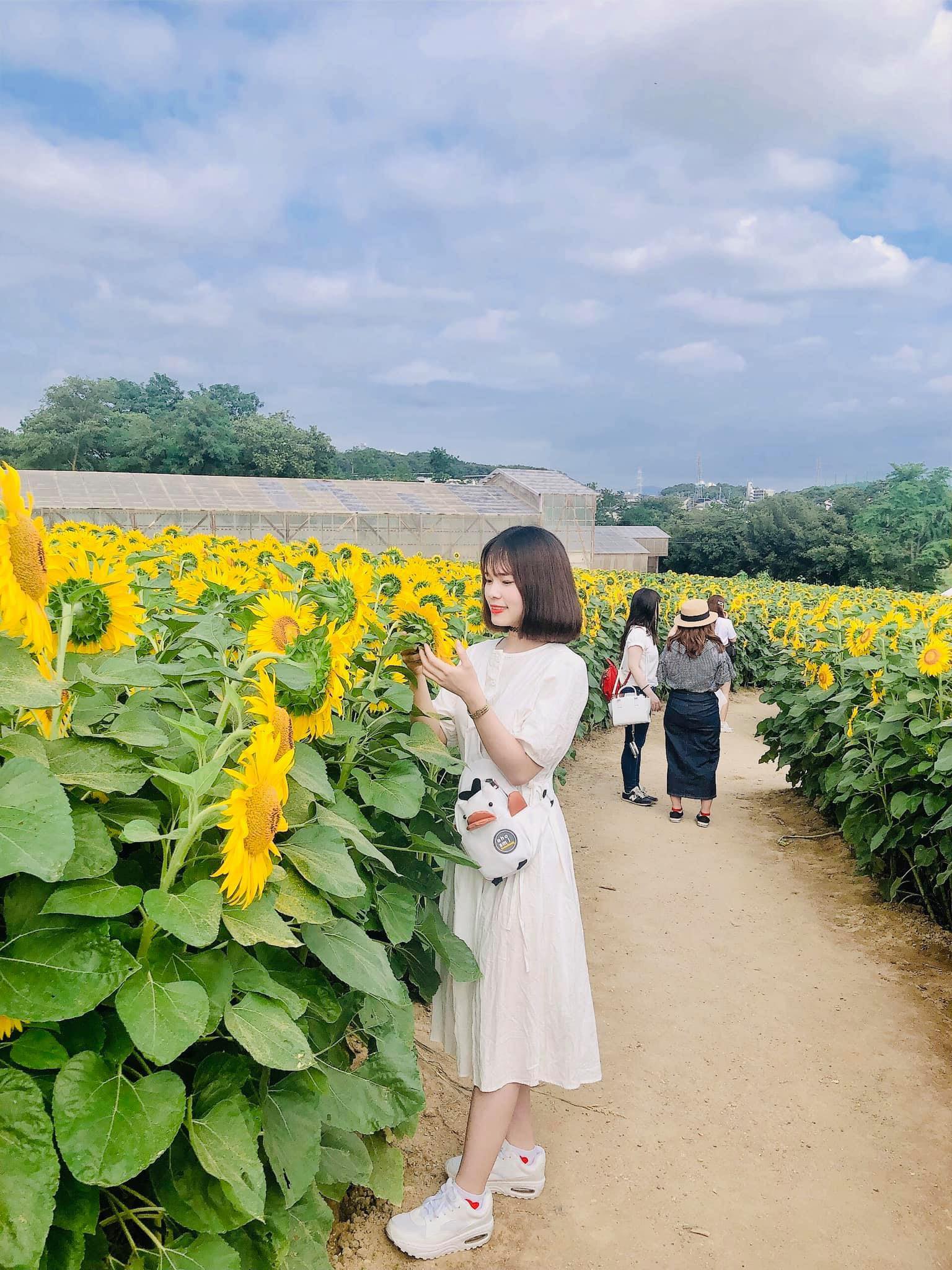 Trang trại Aichi Farm