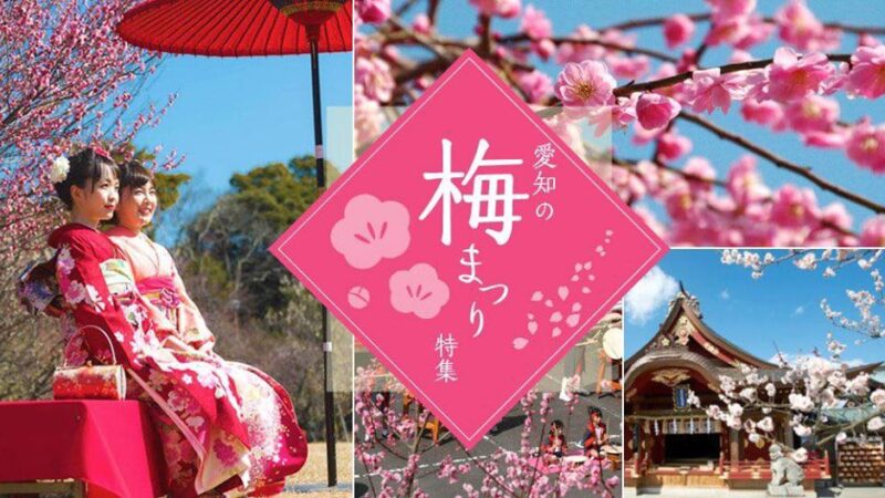 🌸 TỔNG HỢP LỄ HỘI HOA MƠ (UME) AICHI 🌸