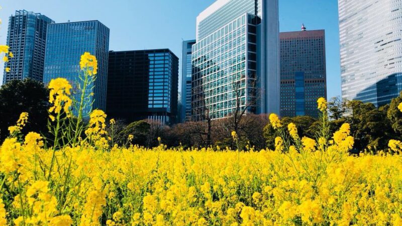 CÁC CÔNG VIÊN LỚN TRONG THỦ ĐÔ TOKYO