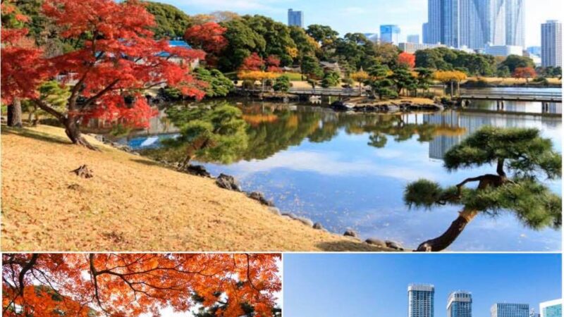 Công viên Hamarikyu Chyuo,Tokyo