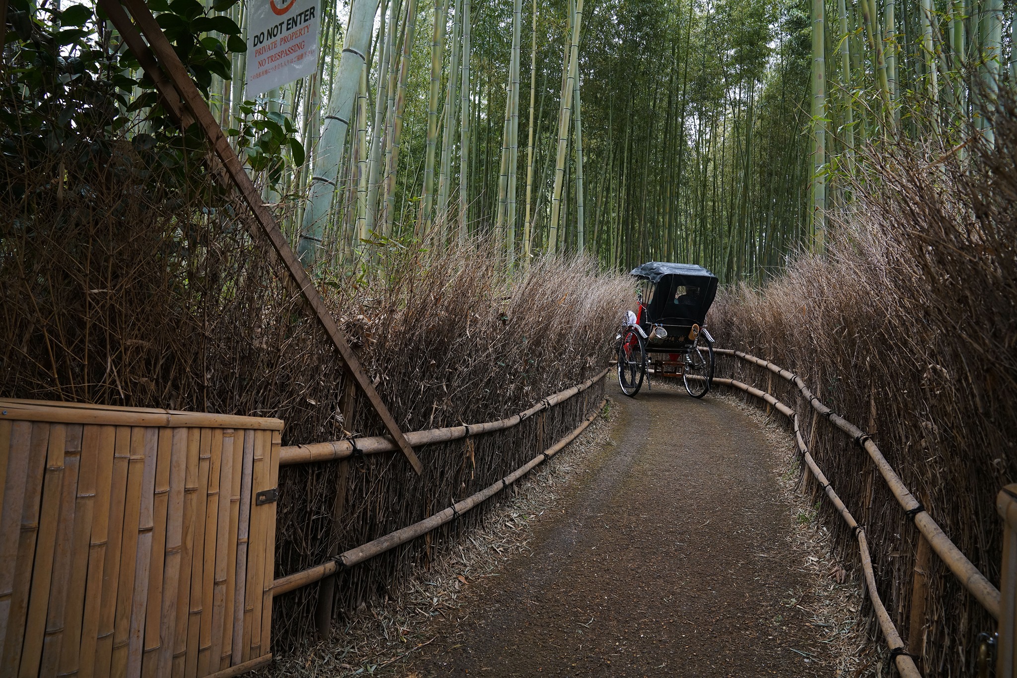 Rừng trúc huyền thoại KYOTO