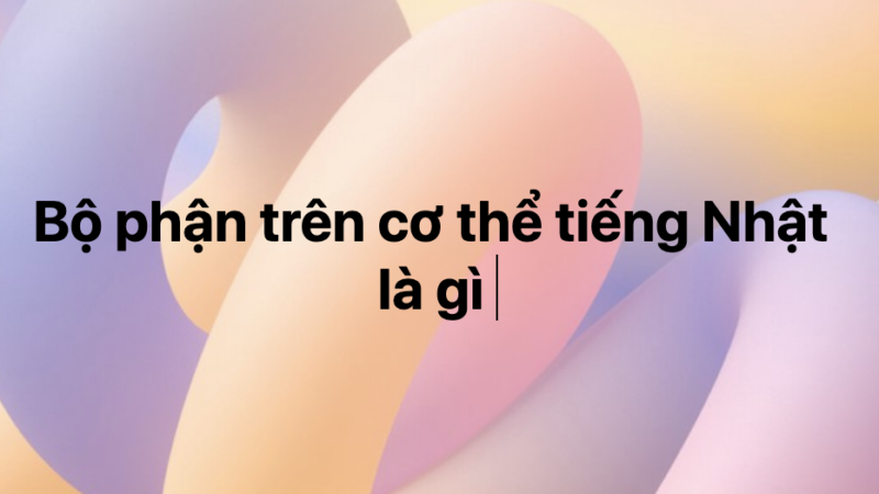 Bộ phận trên cơ thể tiếng Nhật là gì