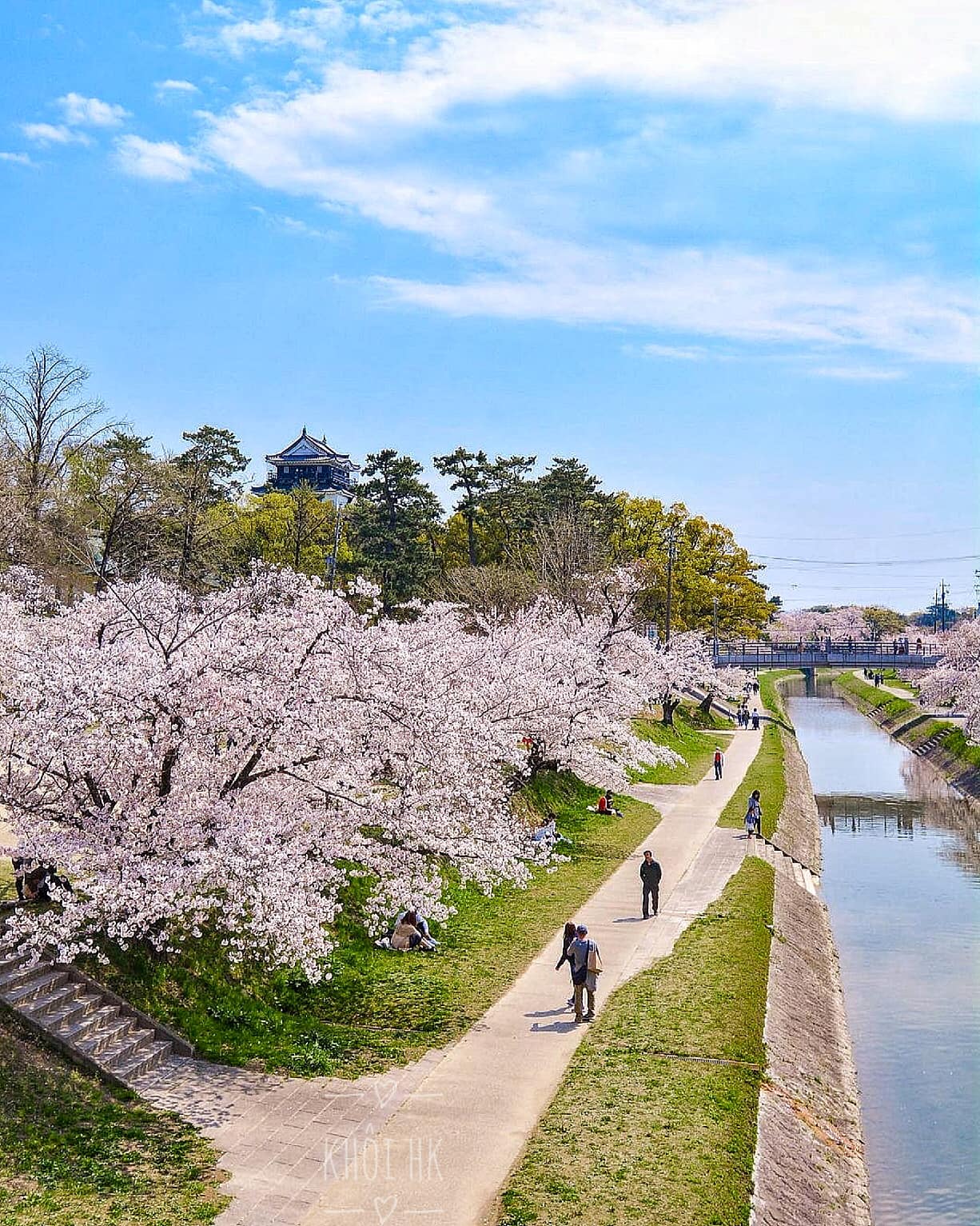 Top 2 điểm ngắm hoa anh đào ở Aichi 