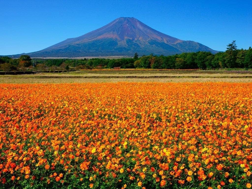 Kinh Nghiệm Du Lịch Từ Tokyo Đi Núi Phú Sĩ