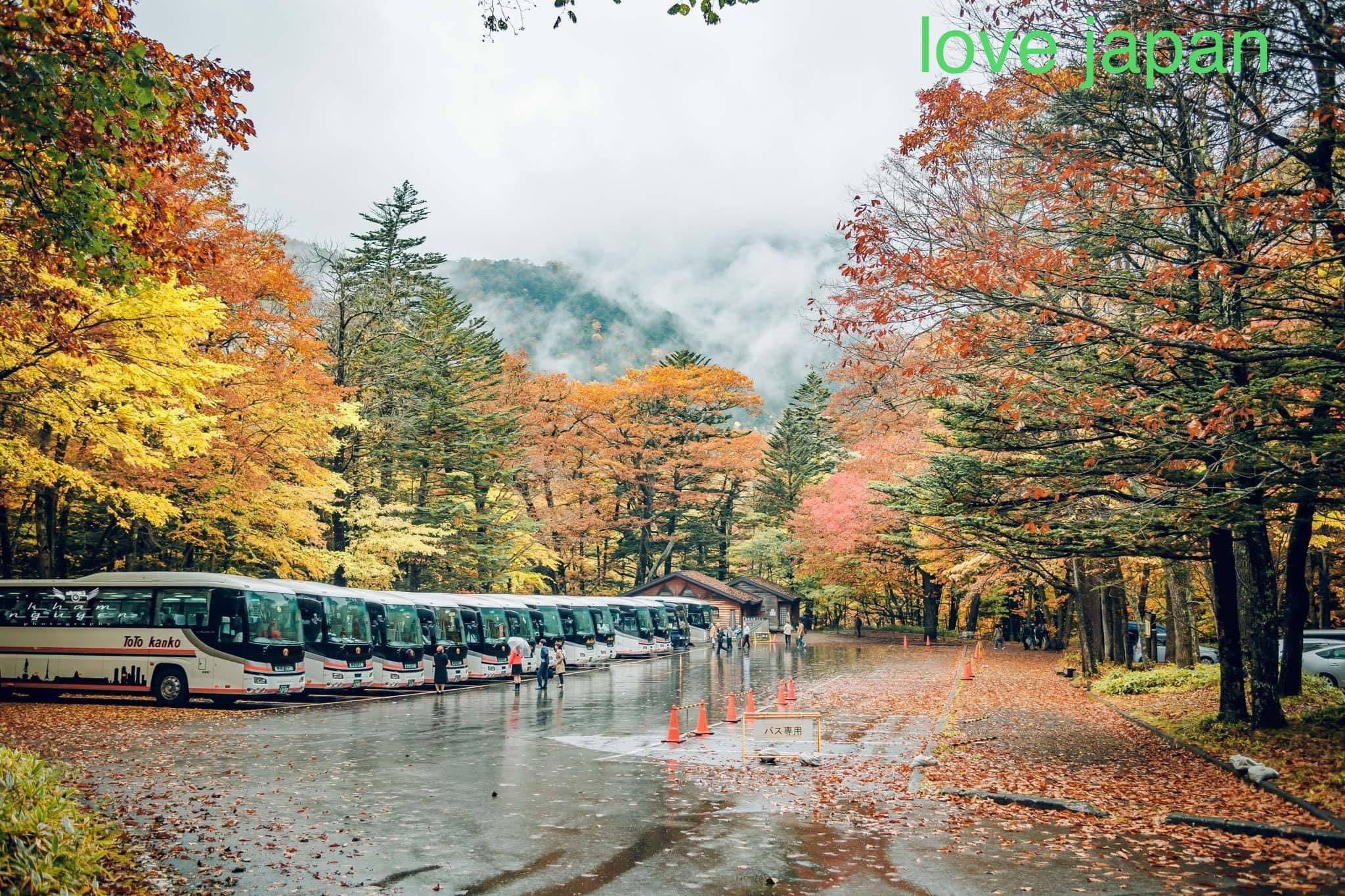 Lên tour Nikko mùa thu từ TOKYO