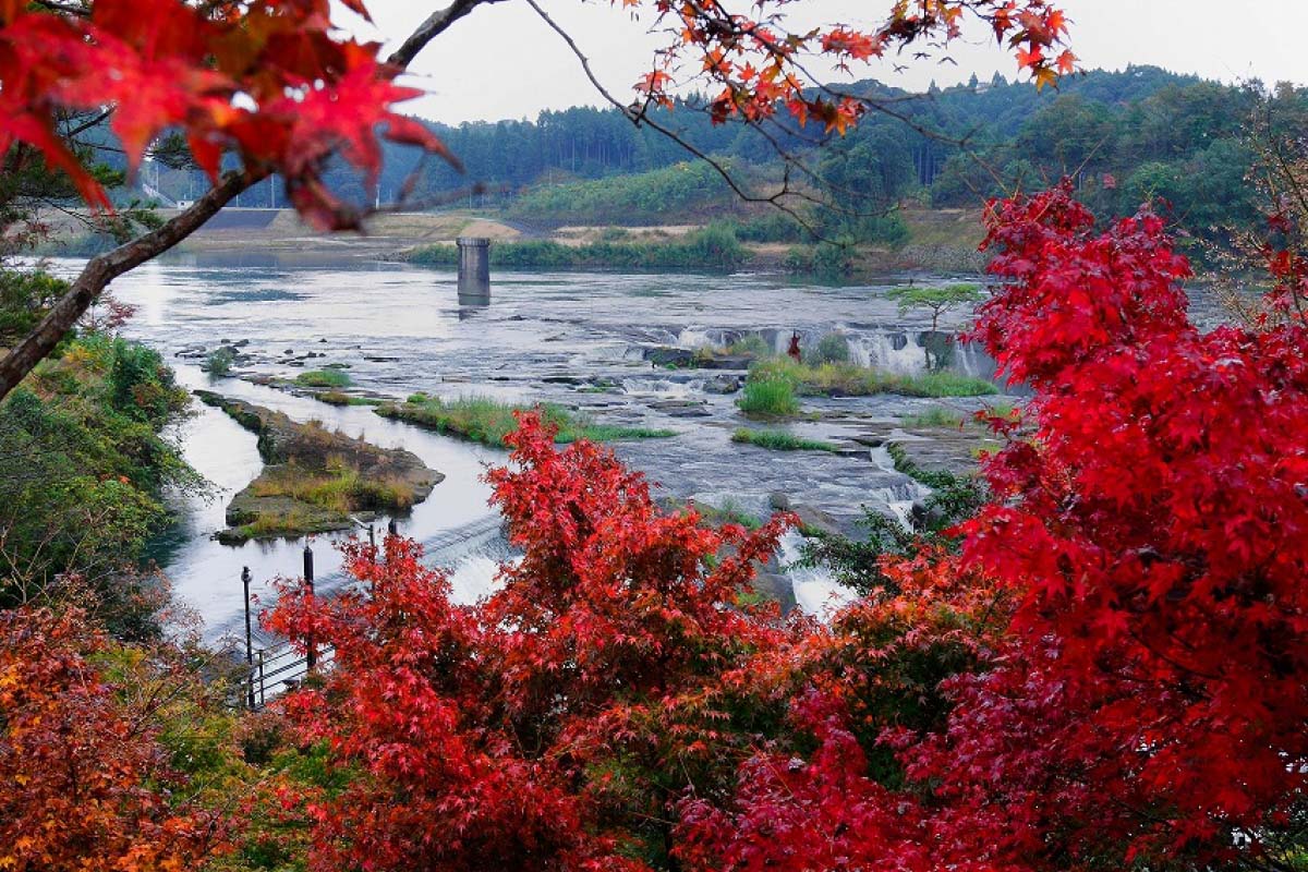 Mùa thu  Công Viên Thác Sogi tỉnh Kagoshima