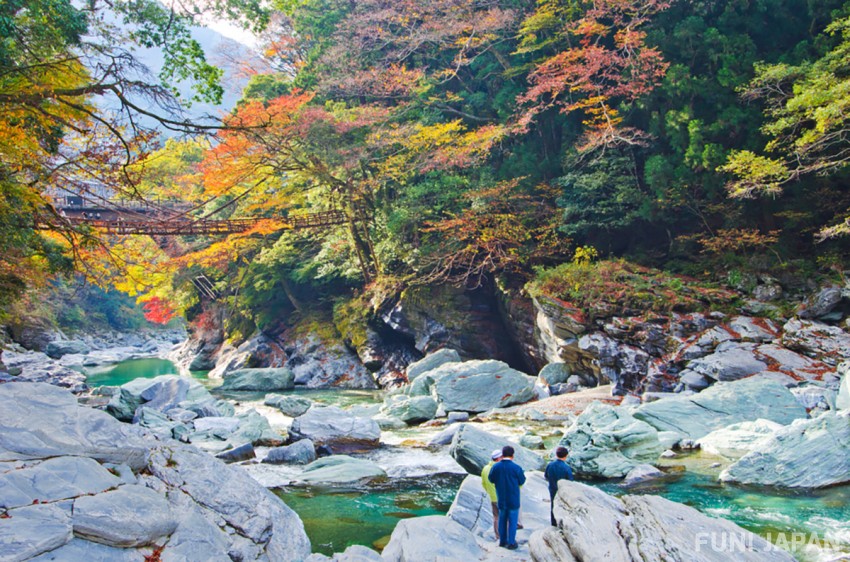 Mùa thu Cầu Kazurabashi của thung lũng Iyadani, tỉnh Tokushima