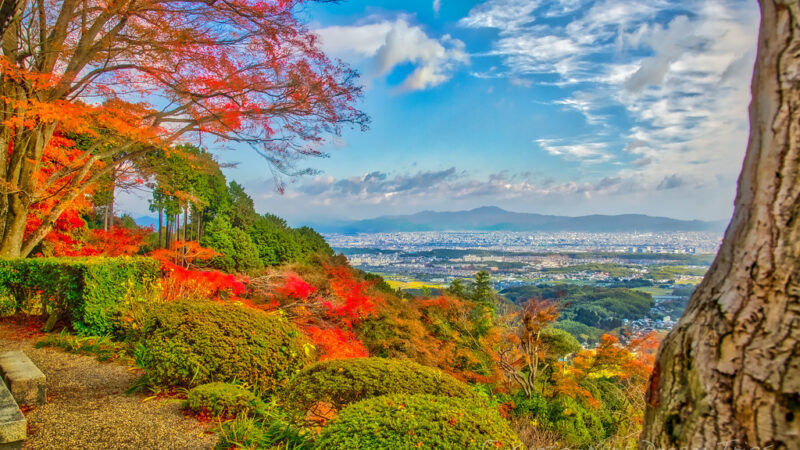 MÙA THU Ở CHÙA  NISHIYAMA YOSHIMINE  –  KYOTO