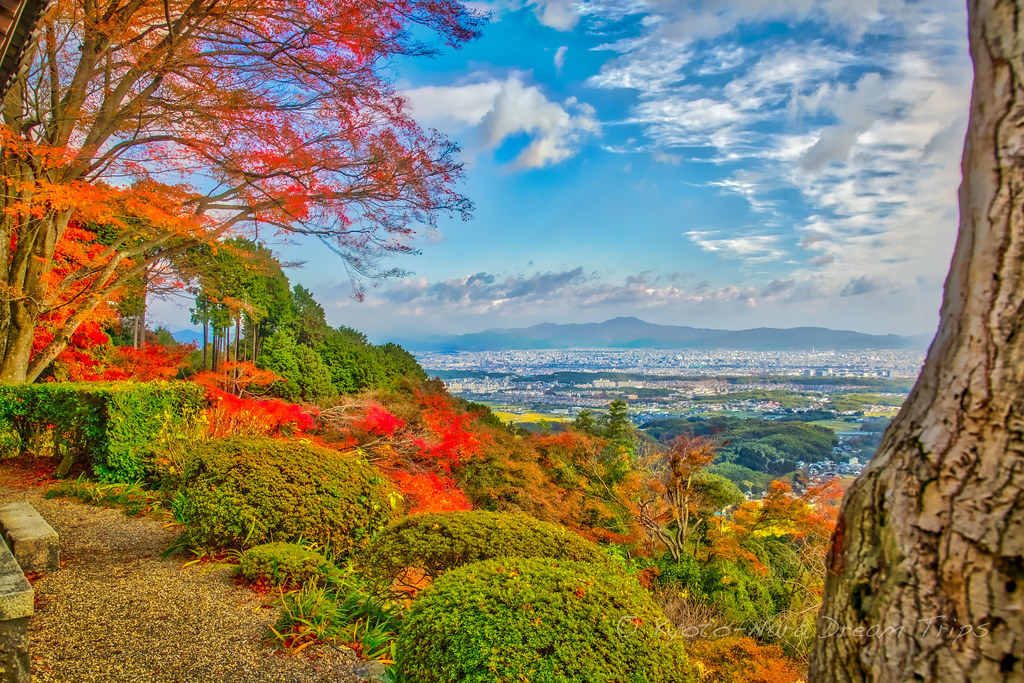 MÙA THU Ở CHÙA  NISHIYAMA YOSHIMINE  –  KYOTO