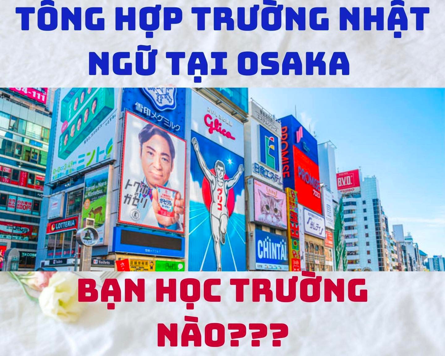 Danh sách những trường Nhật ngữ ở Osaka – Nhật Bản